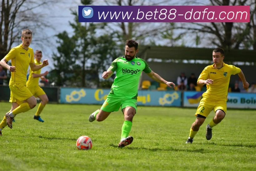 大发官网APP 封面图